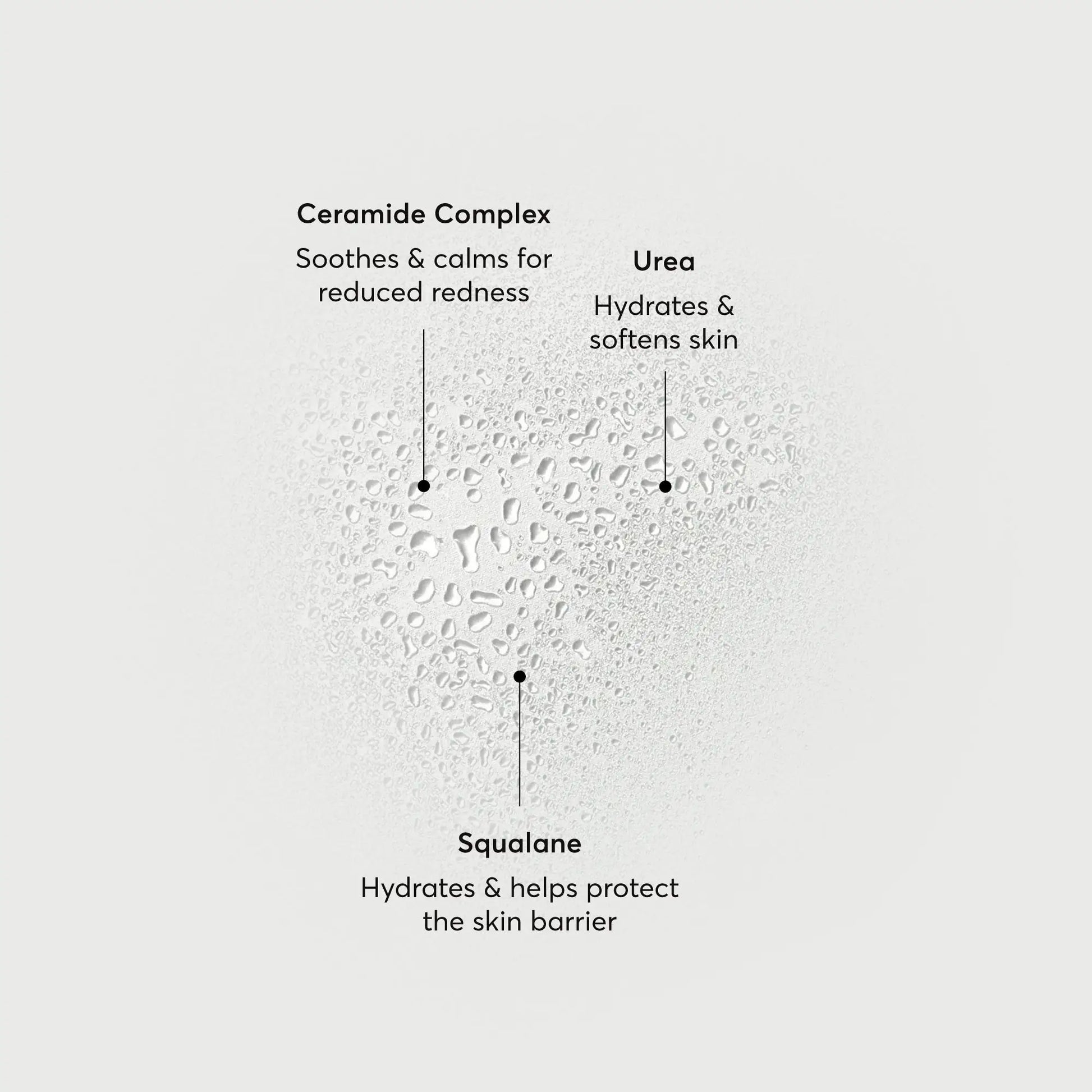 barrier-bounce-bi-phase-mist-c0 NATR-10167-Alt-Images-Barrier-Bounce-Bi-Phase-Toner-Mist_01.webp