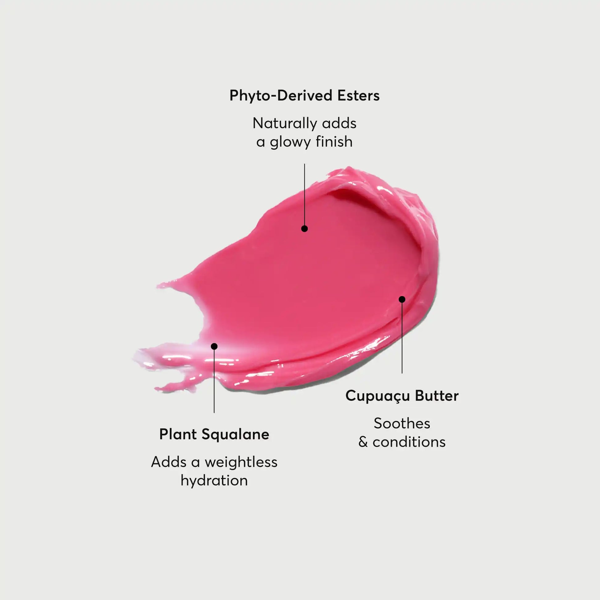 phyto-glow-lip-balm-camellia-h3 NATR-60075-Alt-Images-Phyto-Glow-Lip-Balm-Camellia-01.webp